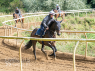EL120925-20 - Emma Lavelle Stable Visit
